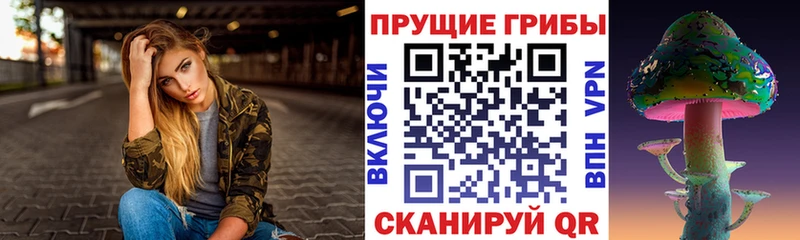 Псилоцибиновые грибы мицелий  нарко площадка формула  Елизаветинская 